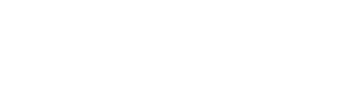 Amerimind.ai logo